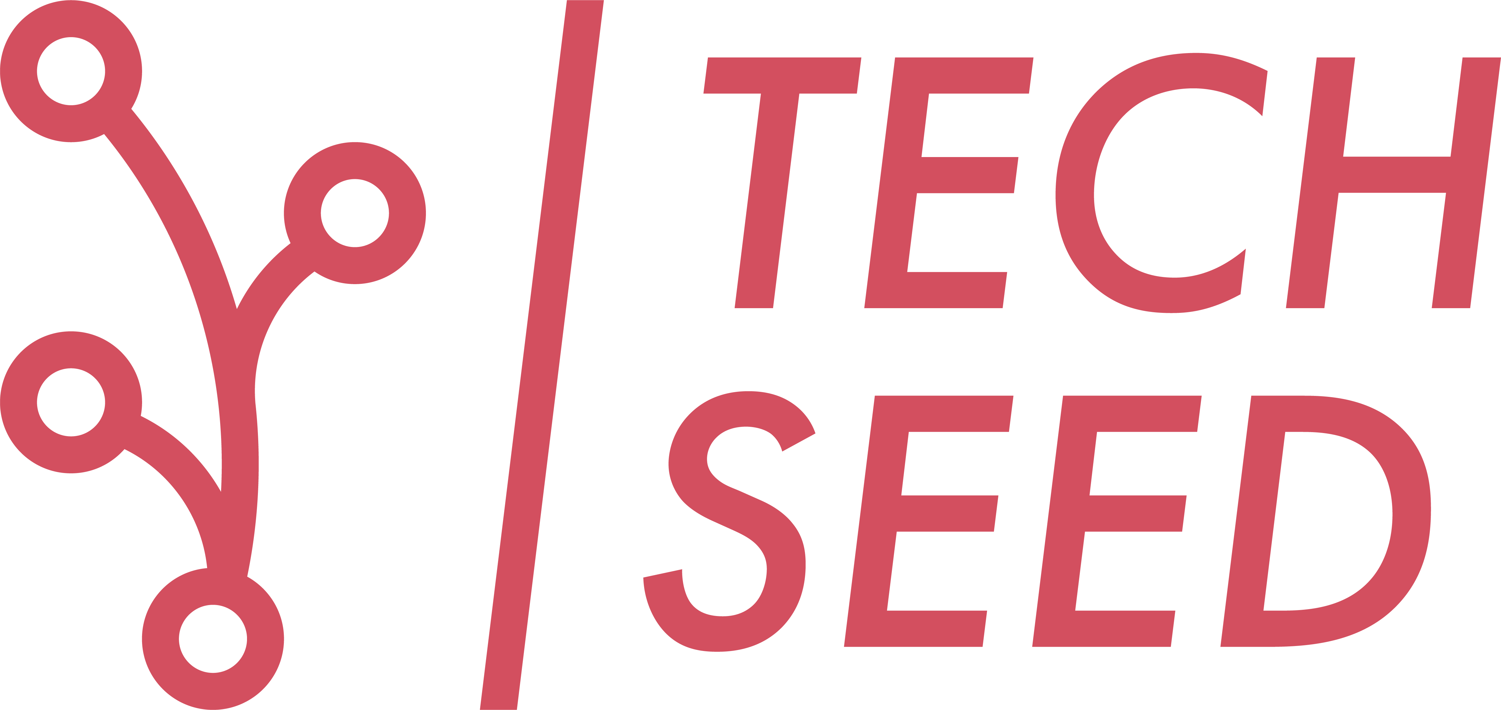 Techseed S.R.L. logo